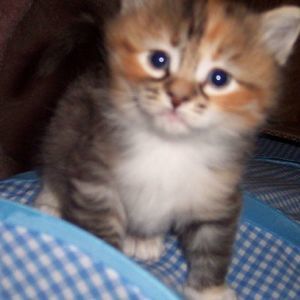 Meet your Posher, Margaret